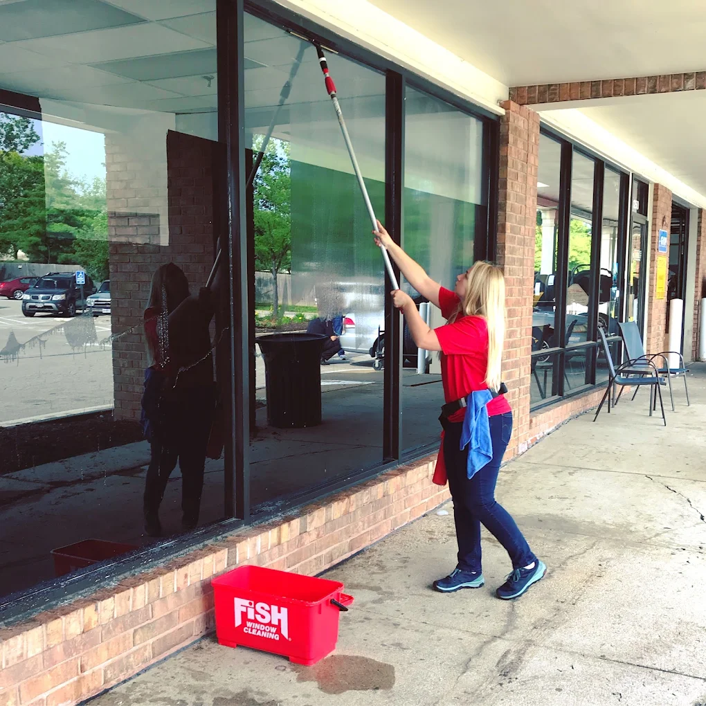Fish Window Cleaning